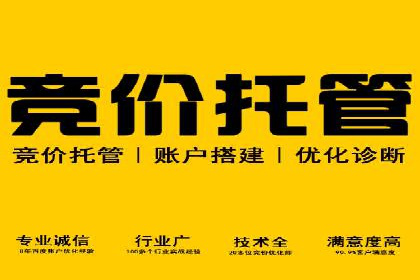 案例揭秘：SEM主管如何应对广告投放中的挑战